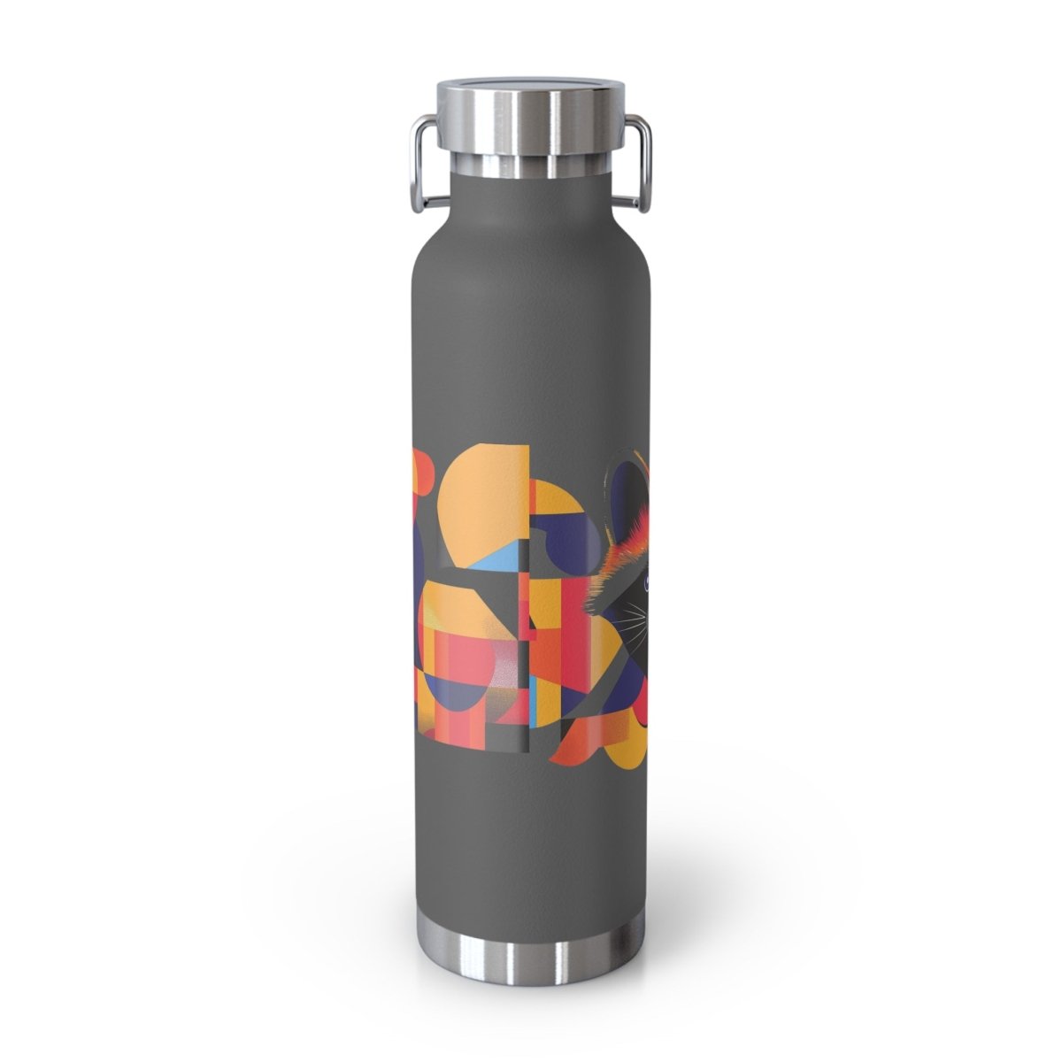 Geometric Raccoons 1 Insulated Bottle 22oz - BigSippin