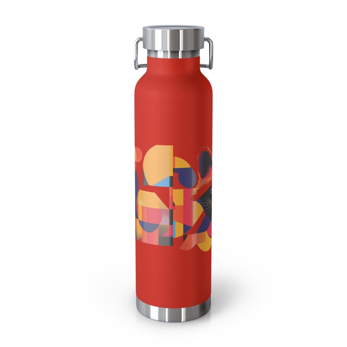 Geometric Raccoons 1 Insulated Bottle 22oz - BigSippin