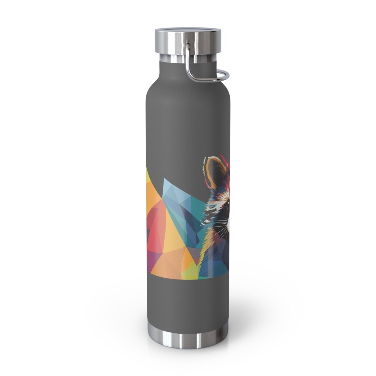 Geometric Raccoons 2 Insulated Bottle 22oz - BigSippin
