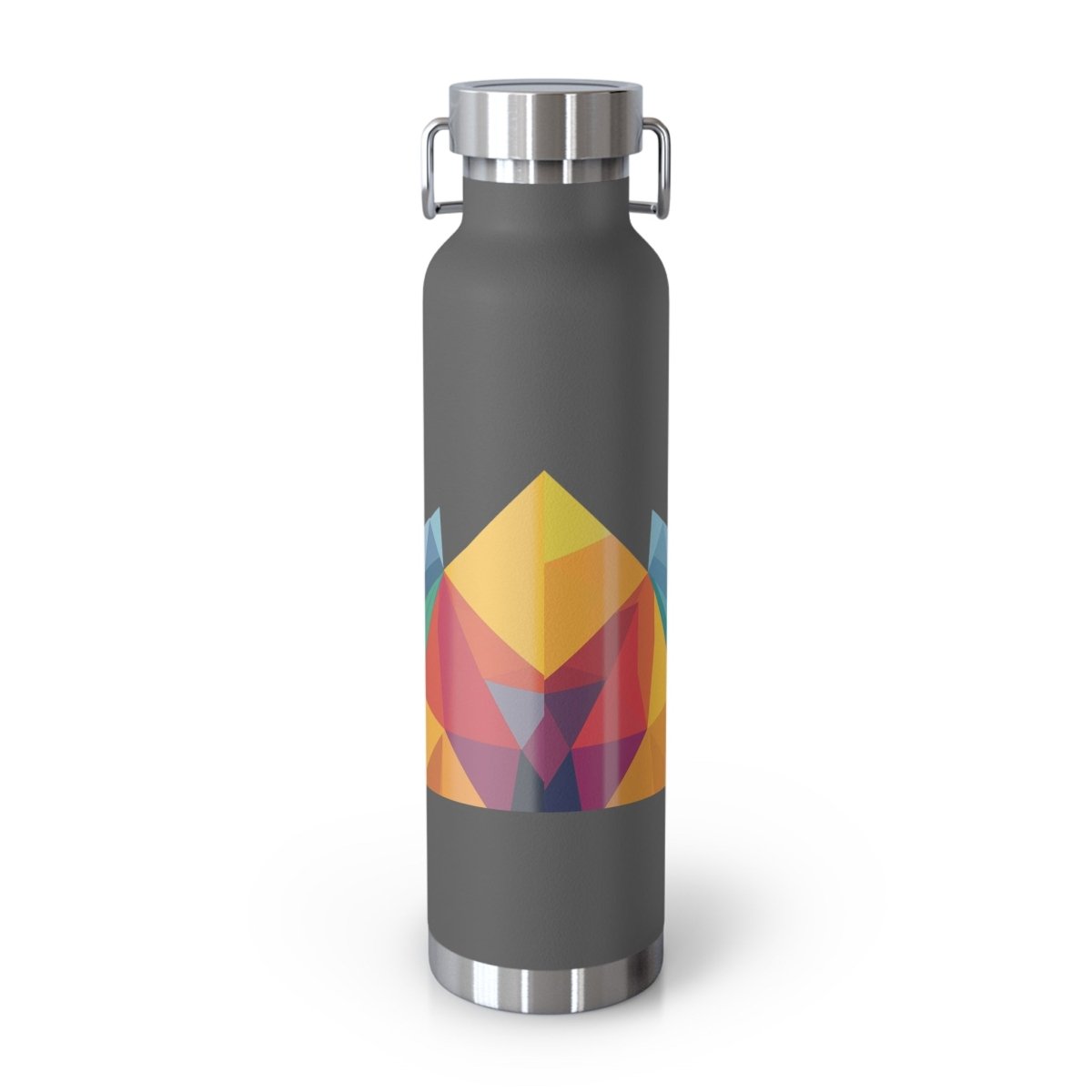 Geometric Raccoons 2 Insulated Bottle 22oz - BigSippin