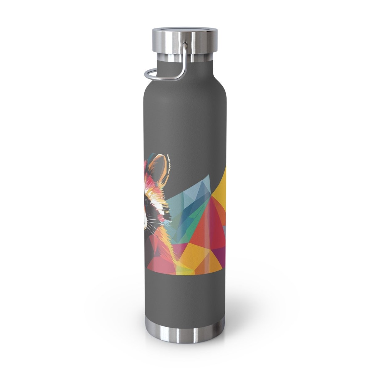 Geometric Raccoons 2 Insulated Bottle 22oz - BigSippin