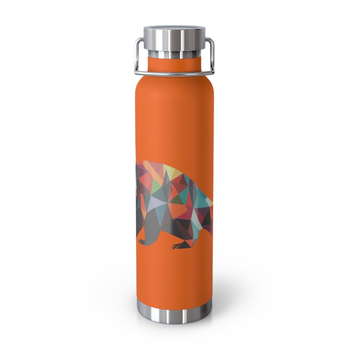 Geometric Raccoons 3 Insulated Bottle 22oz - BigSippin
