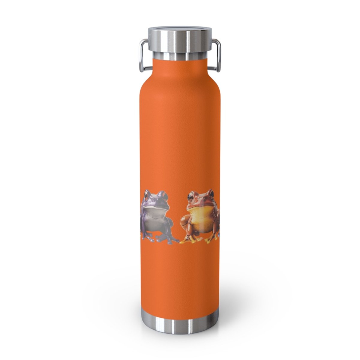 Rainbow Frogs 2 Insulated Bottle 22oz - BigSippin