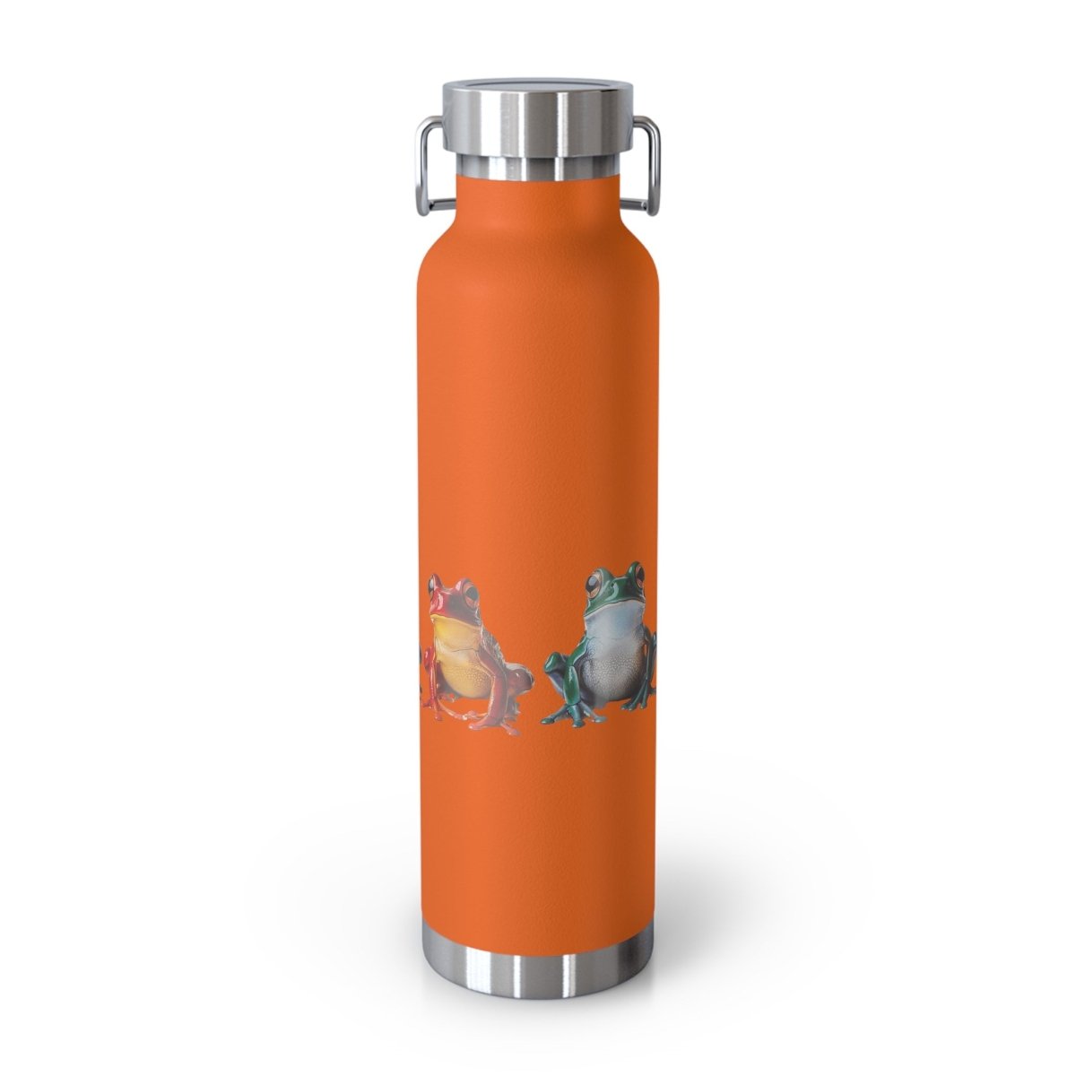Rainbow Frogs 5 Insulated Bottle 22oz - BigSippin