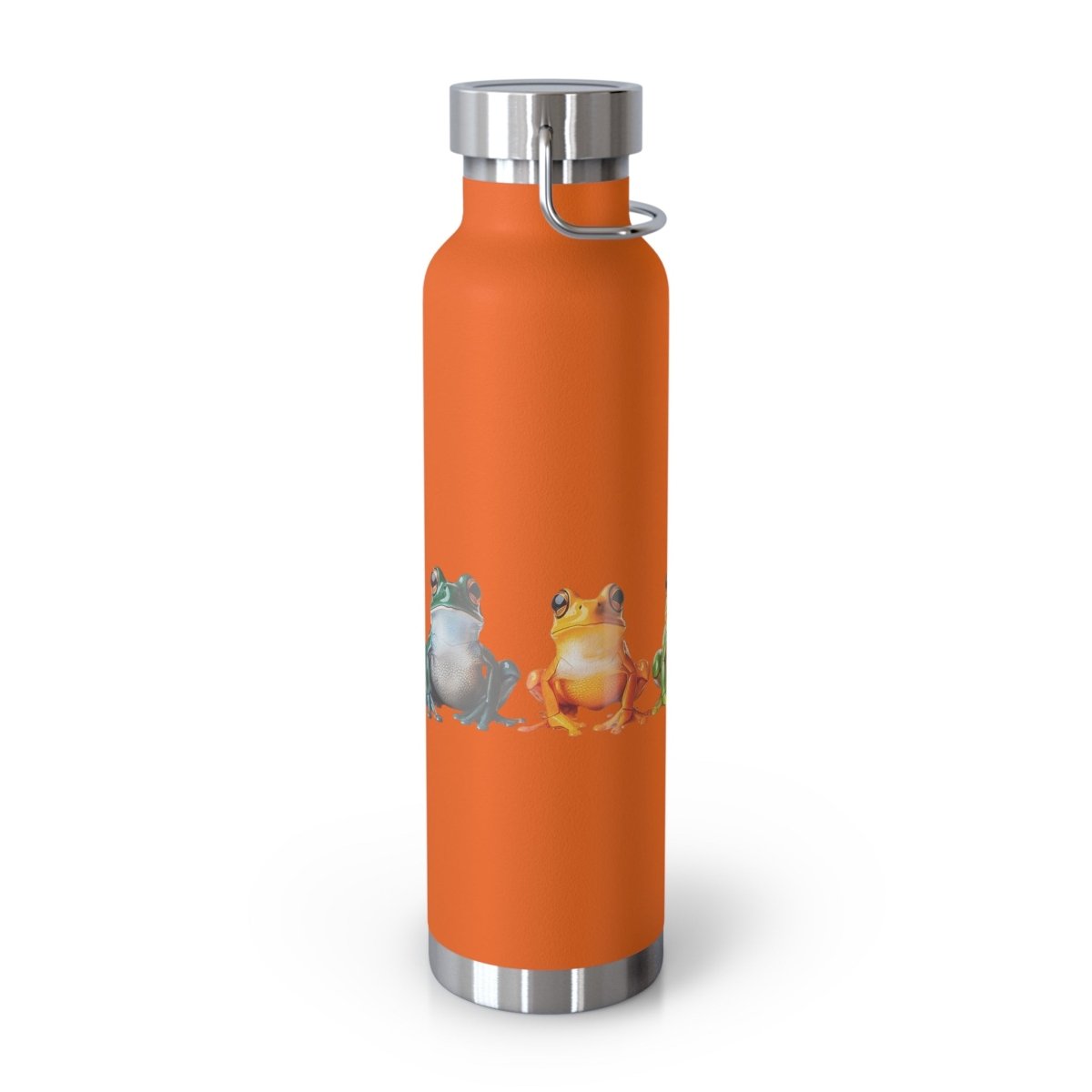 Rainbow Frogs 5 Insulated Bottle 22oz - BigSippin
