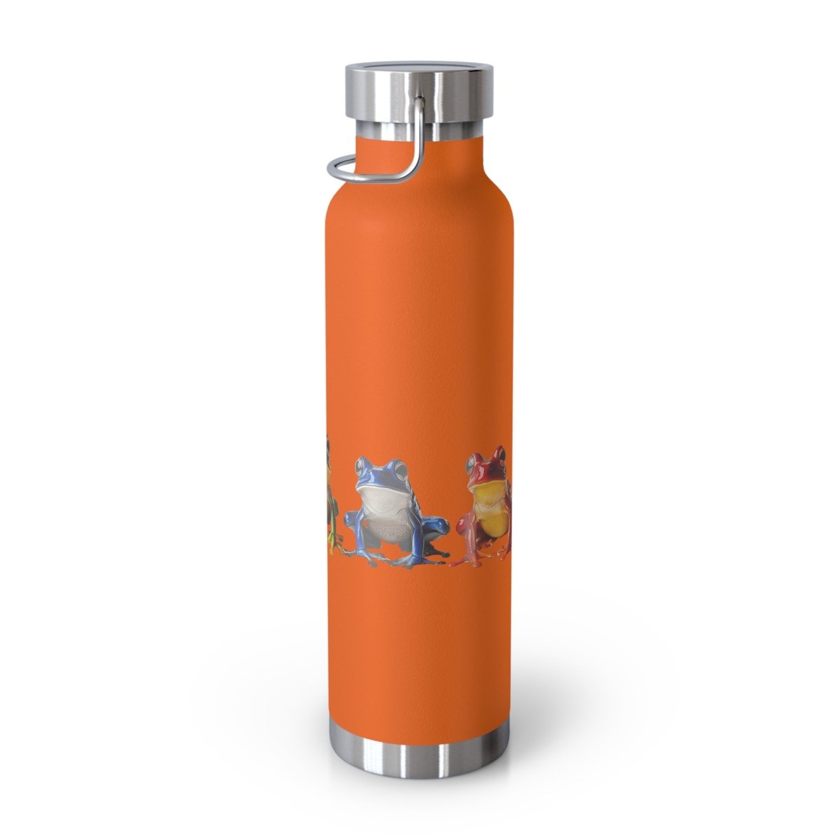 Rainbow Frogs 5 Insulated Bottle 22oz - BigSippin