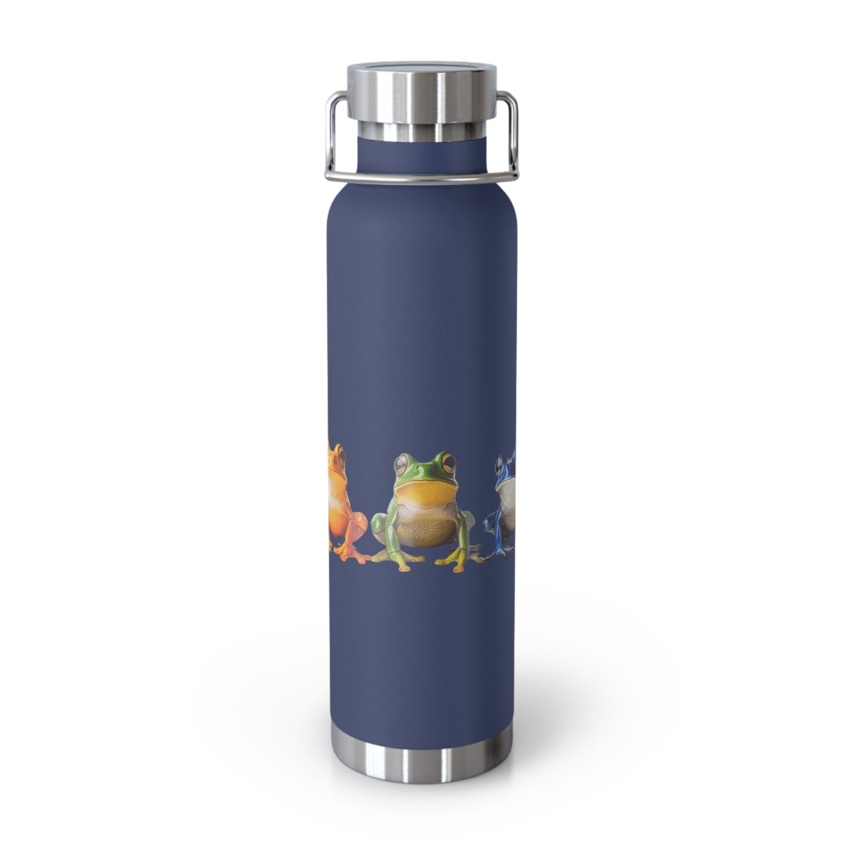 Rainbow Frogs 5 Insulated Bottle 22oz - BigSippin