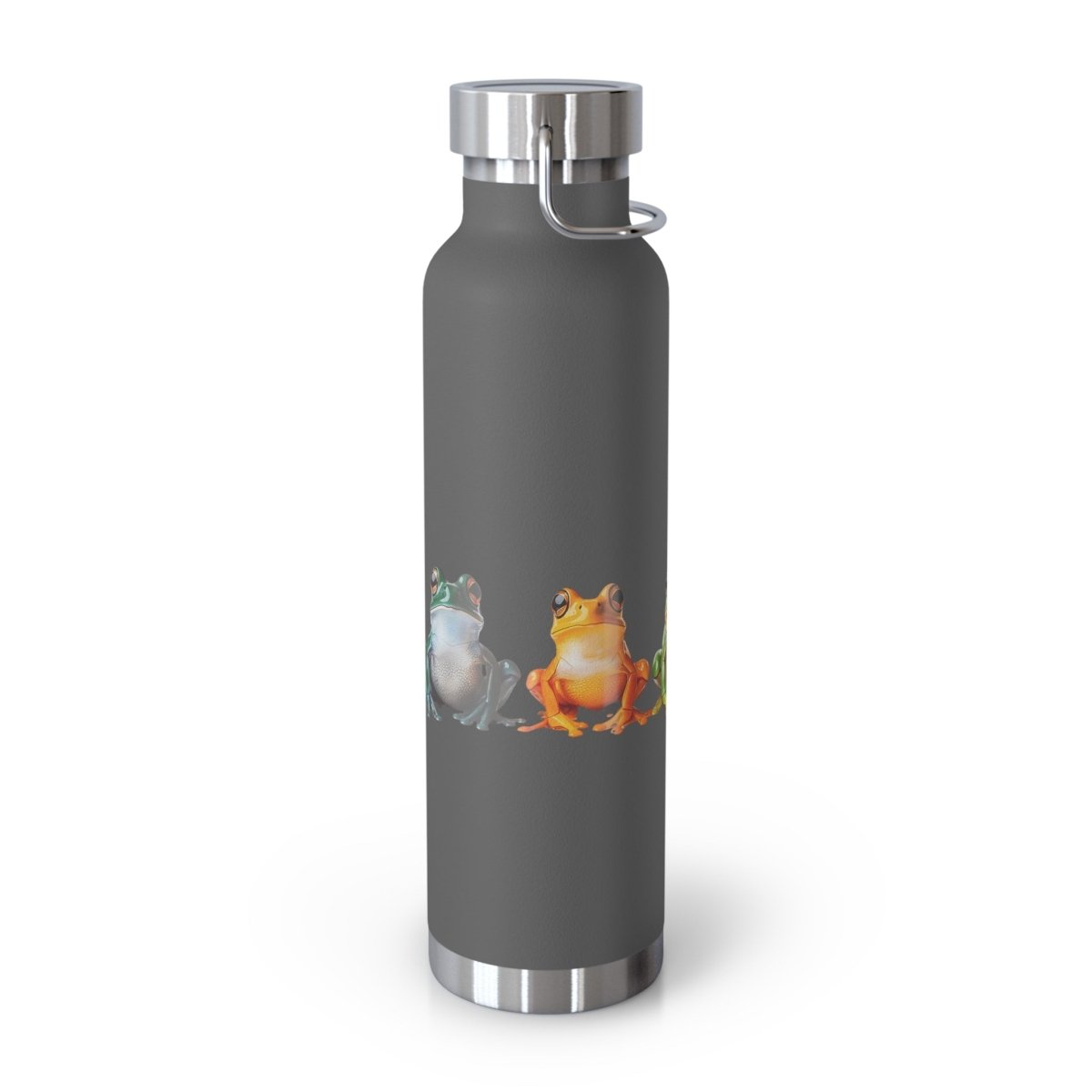Rainbow Frogs 5 Insulated Bottle 22oz - BigSippin