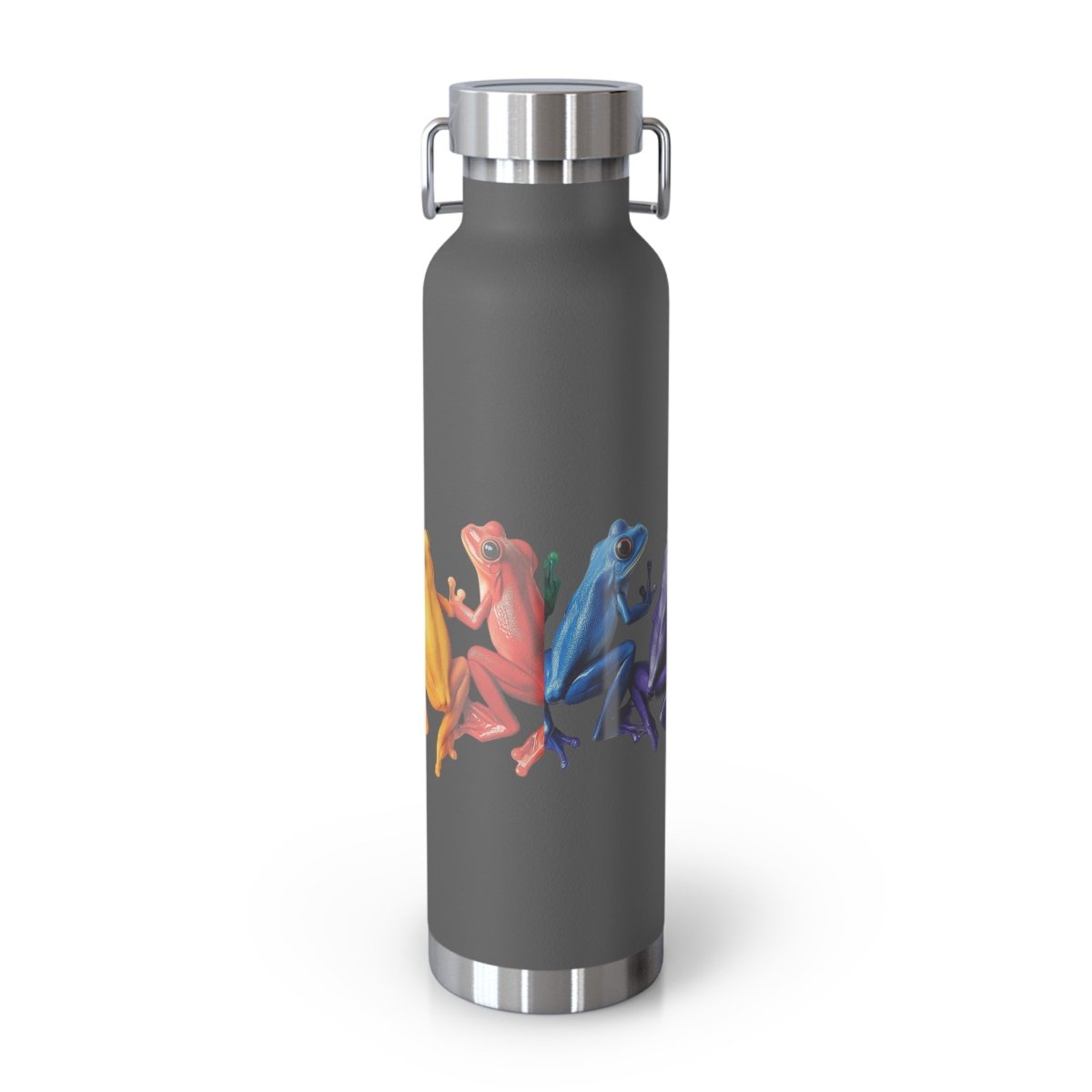 Rainbow Frogs 6 Insulated Bottle 22oz - BigSippin