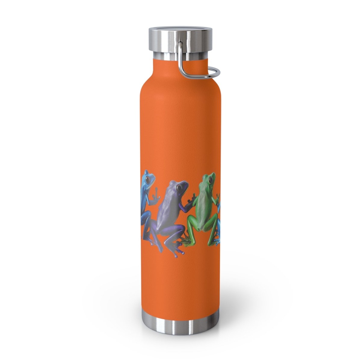 Rainbow Frogs 6 Insulated Bottle 22oz - BigSippin