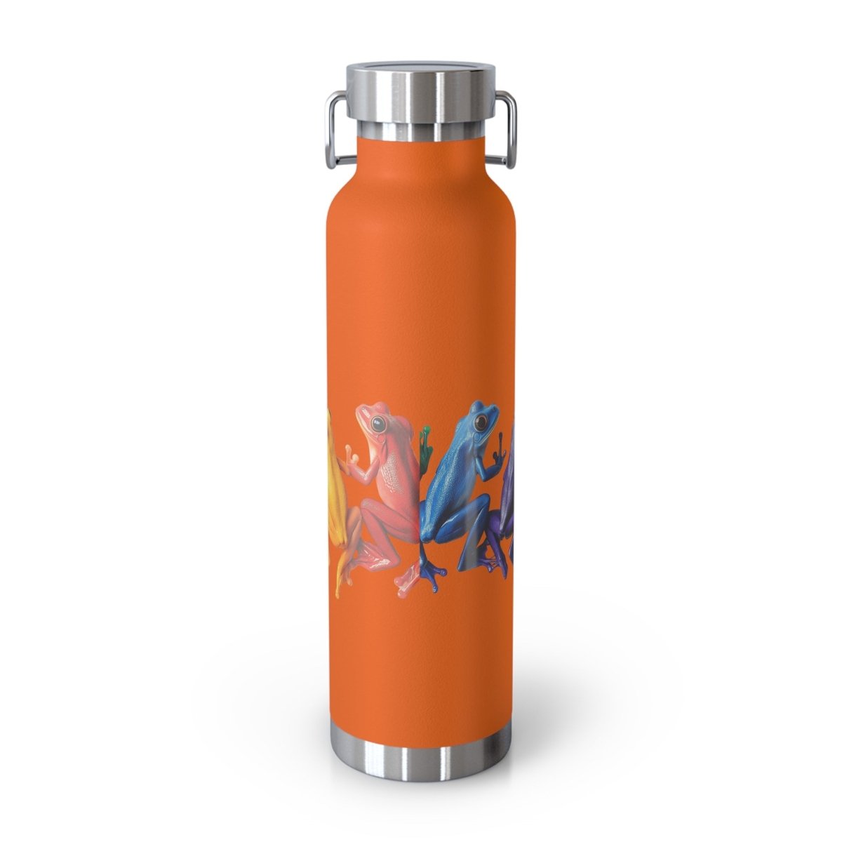Rainbow Frogs 6 Insulated Bottle 22oz - BigSippin