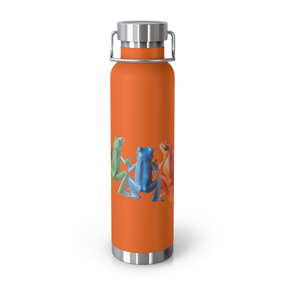 Rainbow Frogs 6 Insulated Bottle 22oz - BigSippin