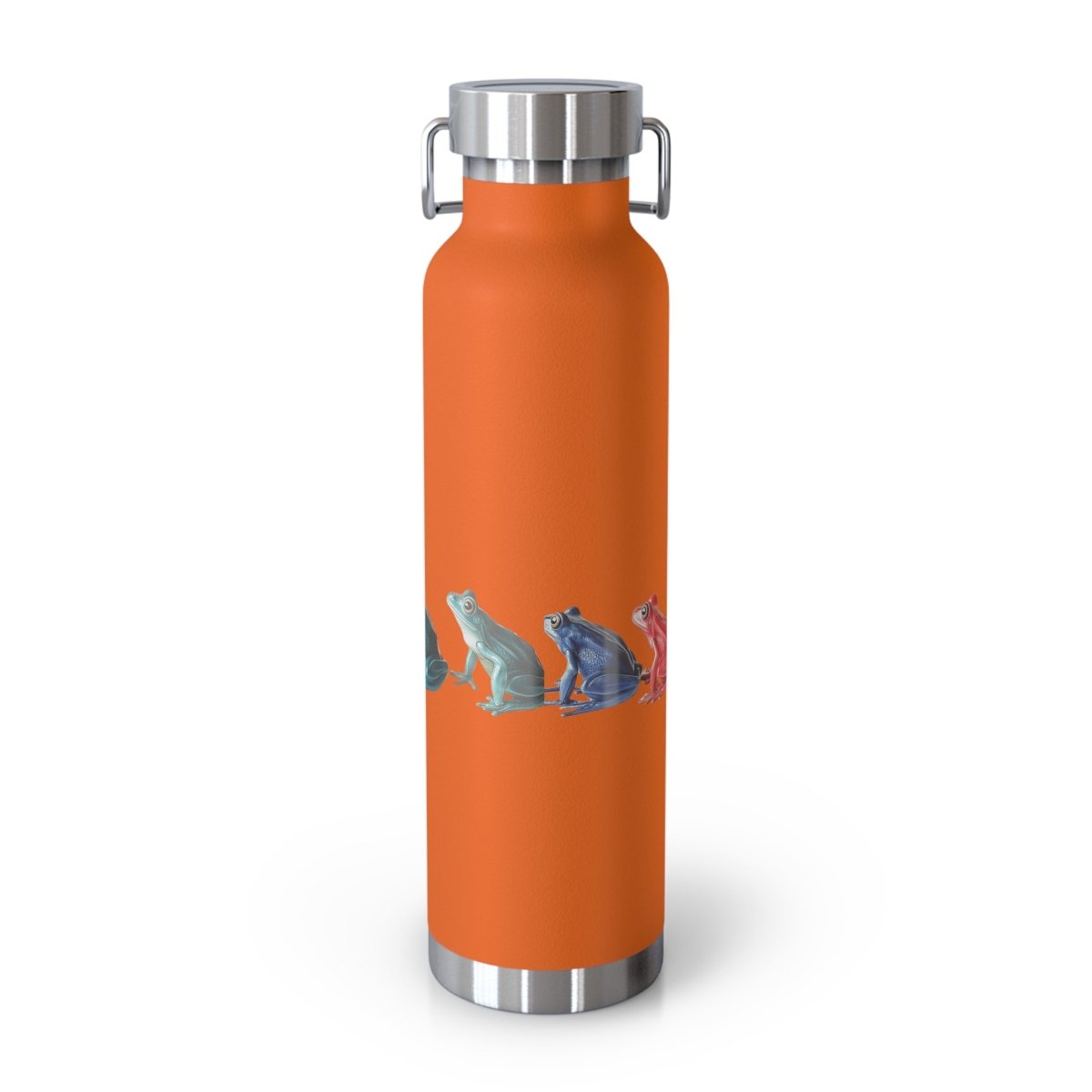 Rainbow Frogs 7 Insulated Bottle 22oz - BigSippin