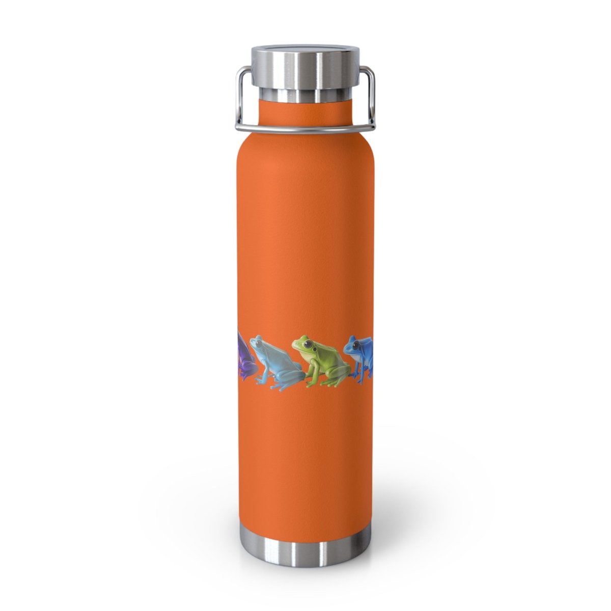 Rainbow Frogs 8 Insulated Bottle 22oz - BigSippin