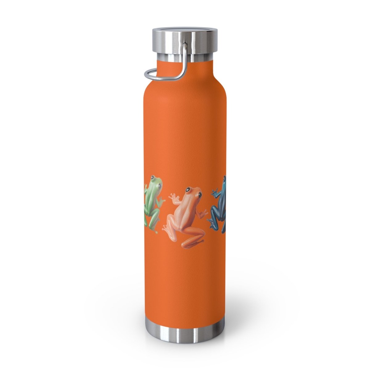Rainbow Frogs 9 Insulated Bottle 22oz - BigSippin
