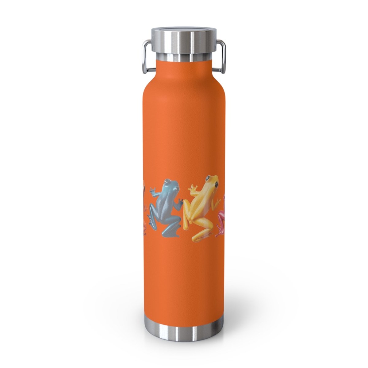 Rainbow Frogs 9 Insulated Bottle 22oz - BigSippin