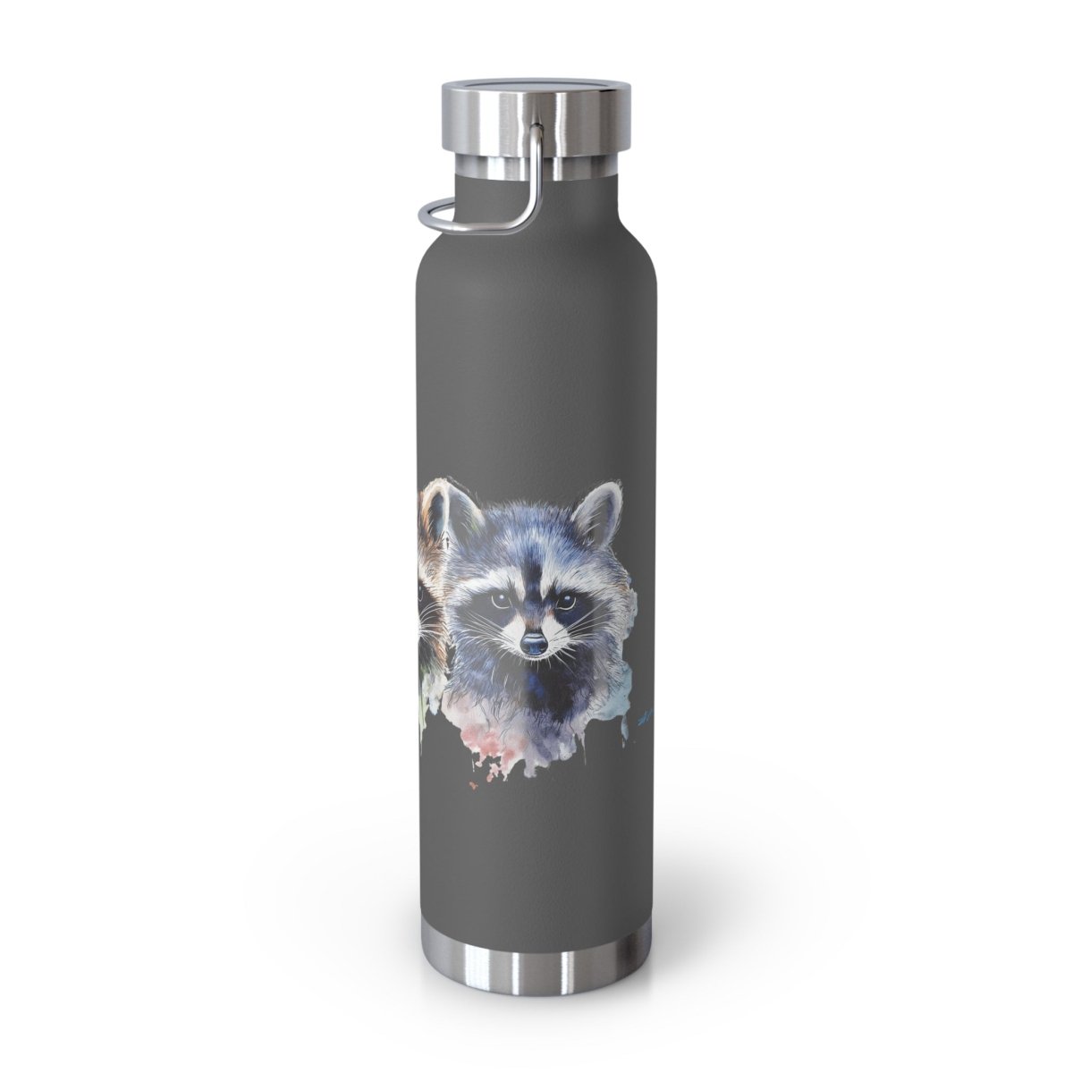 Watercolor Raccoons 6 Insulated Bottle 22oz - BigSippin